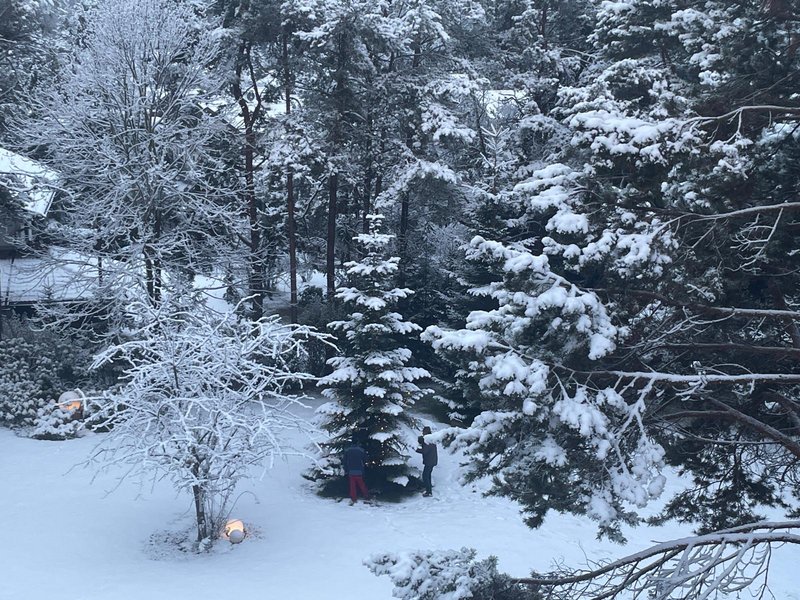 3.000m2 Garten im Winterkleid, Apart Elisabeth