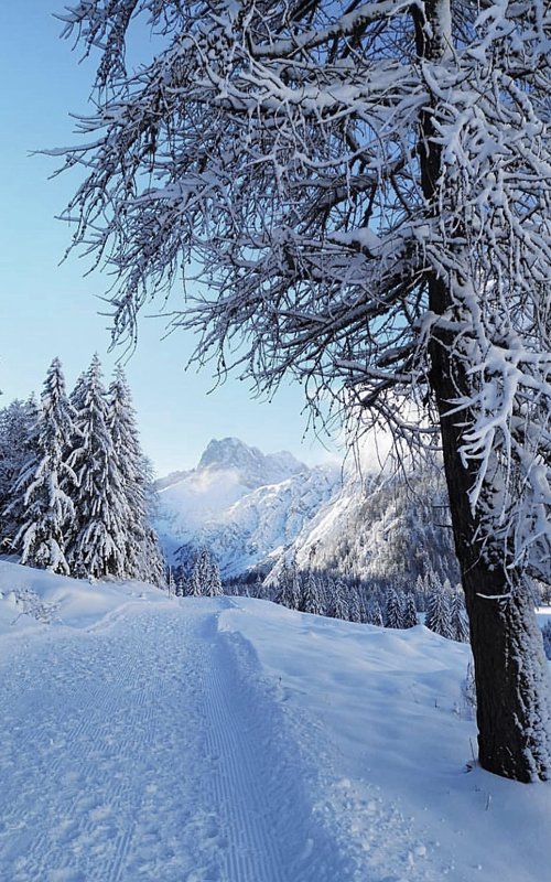 Tief verschneite Winterlandschaft mit Blick auf die Tiroler Berge – stille Momente und Naturgenuss nahe dem Apart Elisabeth in Mieming.