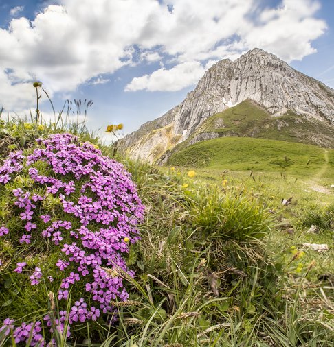 Frühlingserwachen am Mieminger Sonnenplateau und den Bergen der Mieminger Kette