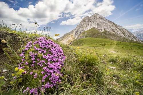 Frühlingserwachen am Mieminger Sonnenplateau und den Bergen der Mieminger Kette