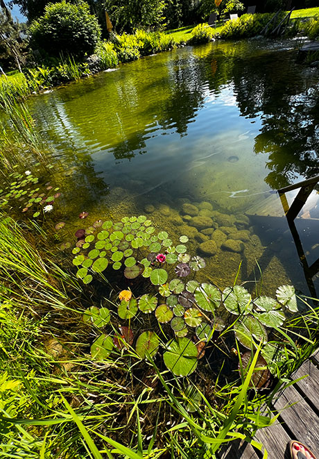 Natururlaub im Apart Elisabeth Mieming – ruhiger Naturgarten mit Bergpanorama Tirol